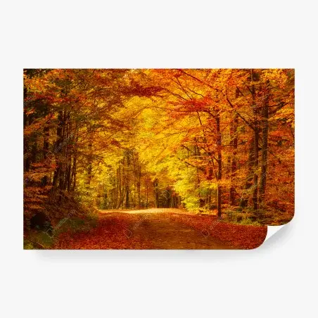 Wall mural golden autumn forest pathway • Wallissimo®
