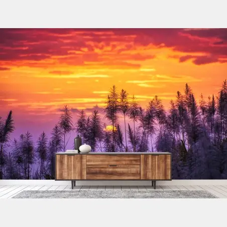 Wall mural golden sunset over wild grasses • Wallissimo®