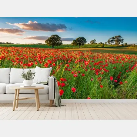 Wall mural red poppy field near Corbridge • Wallissimo®