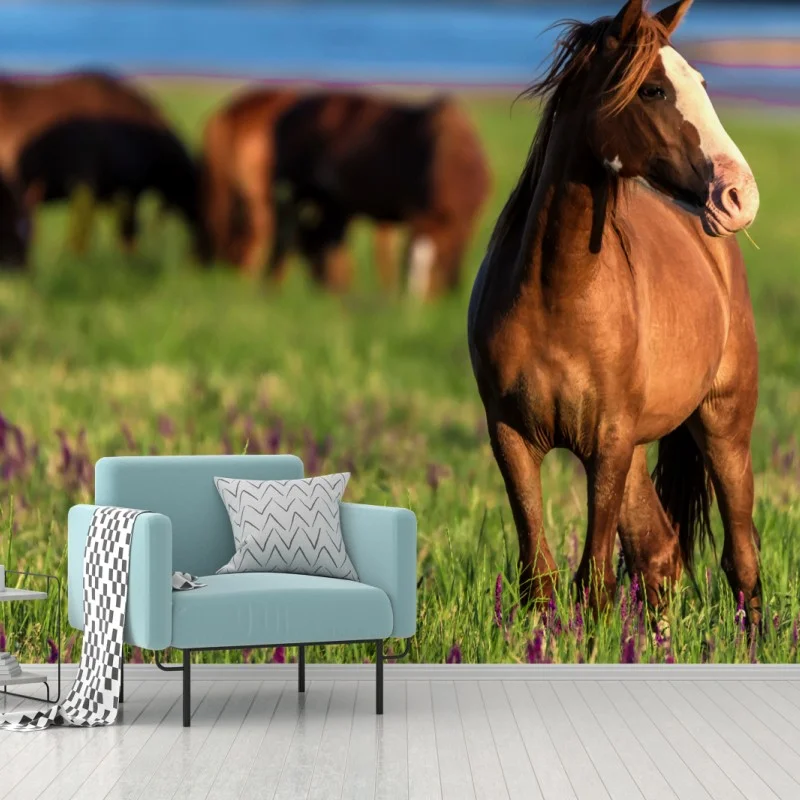 Wall mural majestic brown horse in a sunlit meadow