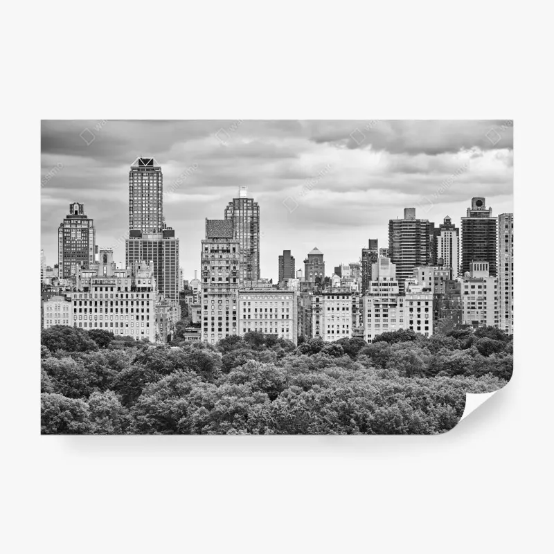 Wall mural Manhattan skyline in black and white