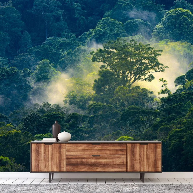 Wall mural misty rainforest canopy