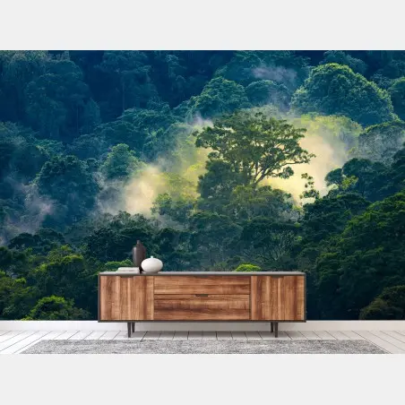 Wall mural misty rainforest canopy • Wallissimo®