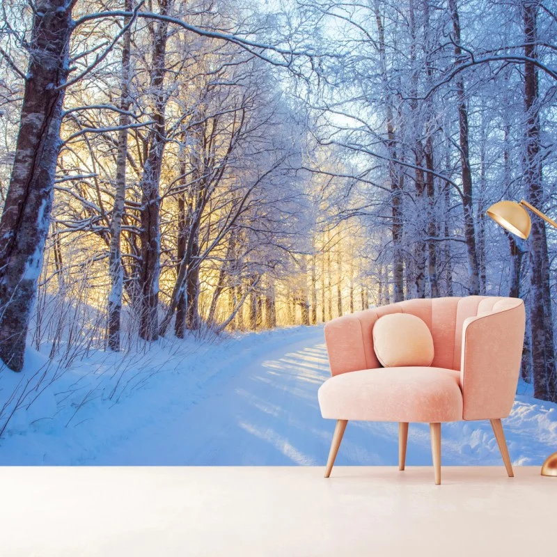 Wall mural winter birch forest pathway at sunrise