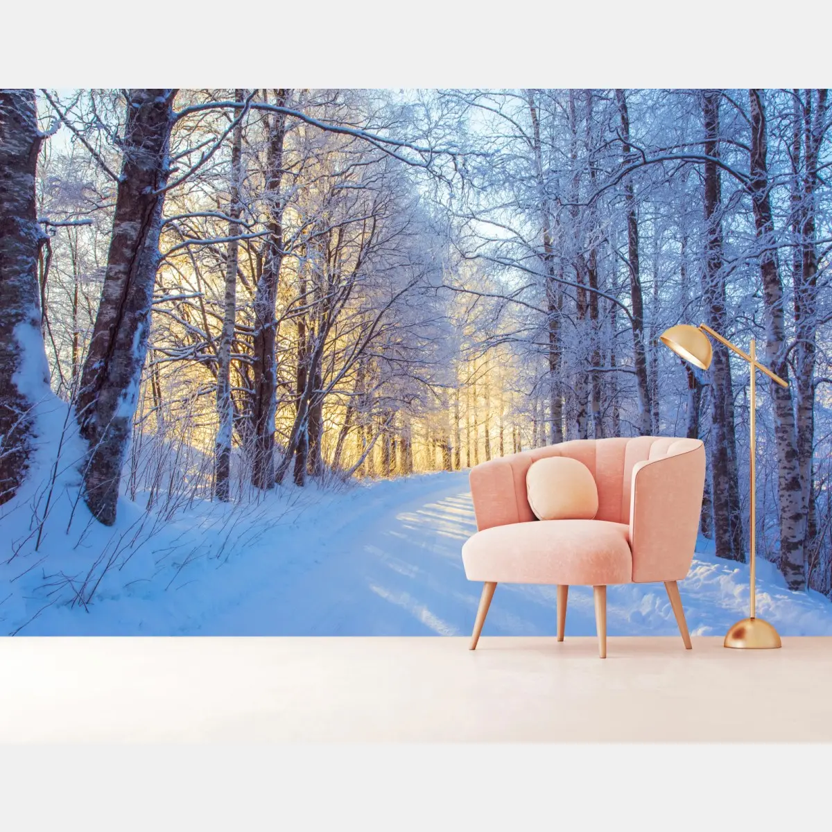 Wall mural winter birch forest pathway at sunrise • Wallissimo®