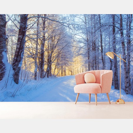 Wall mural winter birch forest pathway at sunrise • Wallissimo®