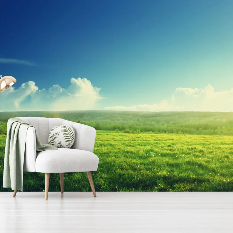 Wall mural sunlit spring meadow at sunset