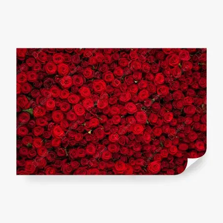 Wall mural endless wall of red roses • Wallissimo®