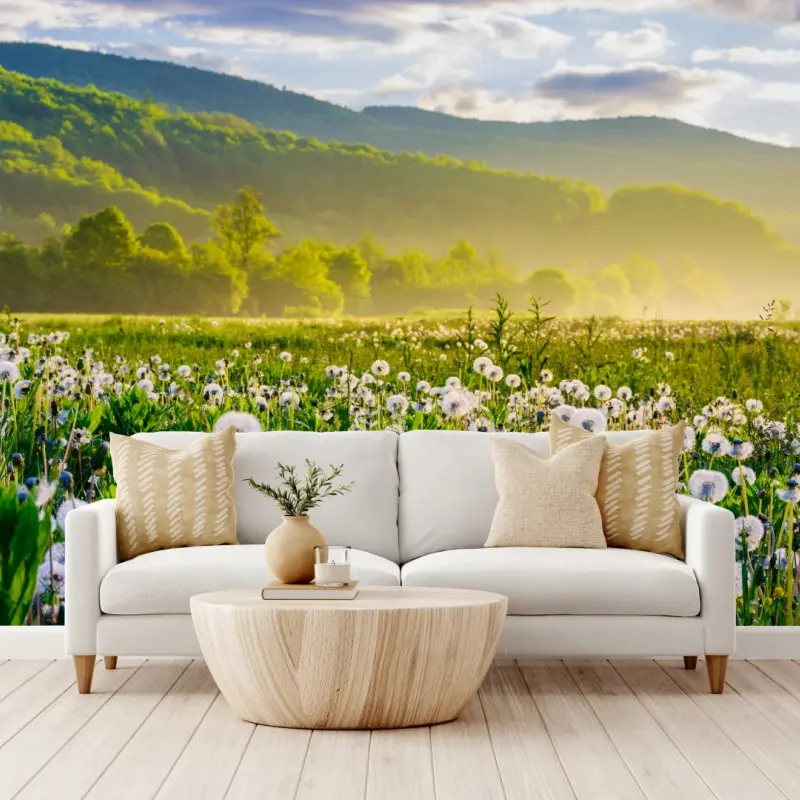Wall mural misty dandelion meadow at sunrise