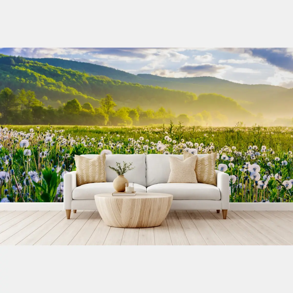 Wall mural misty dandelion meadow at sunrise • Wallissimo®