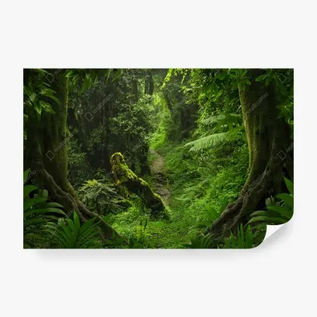 Wall mural enchanted mossy forest pathway • Wallissimo®