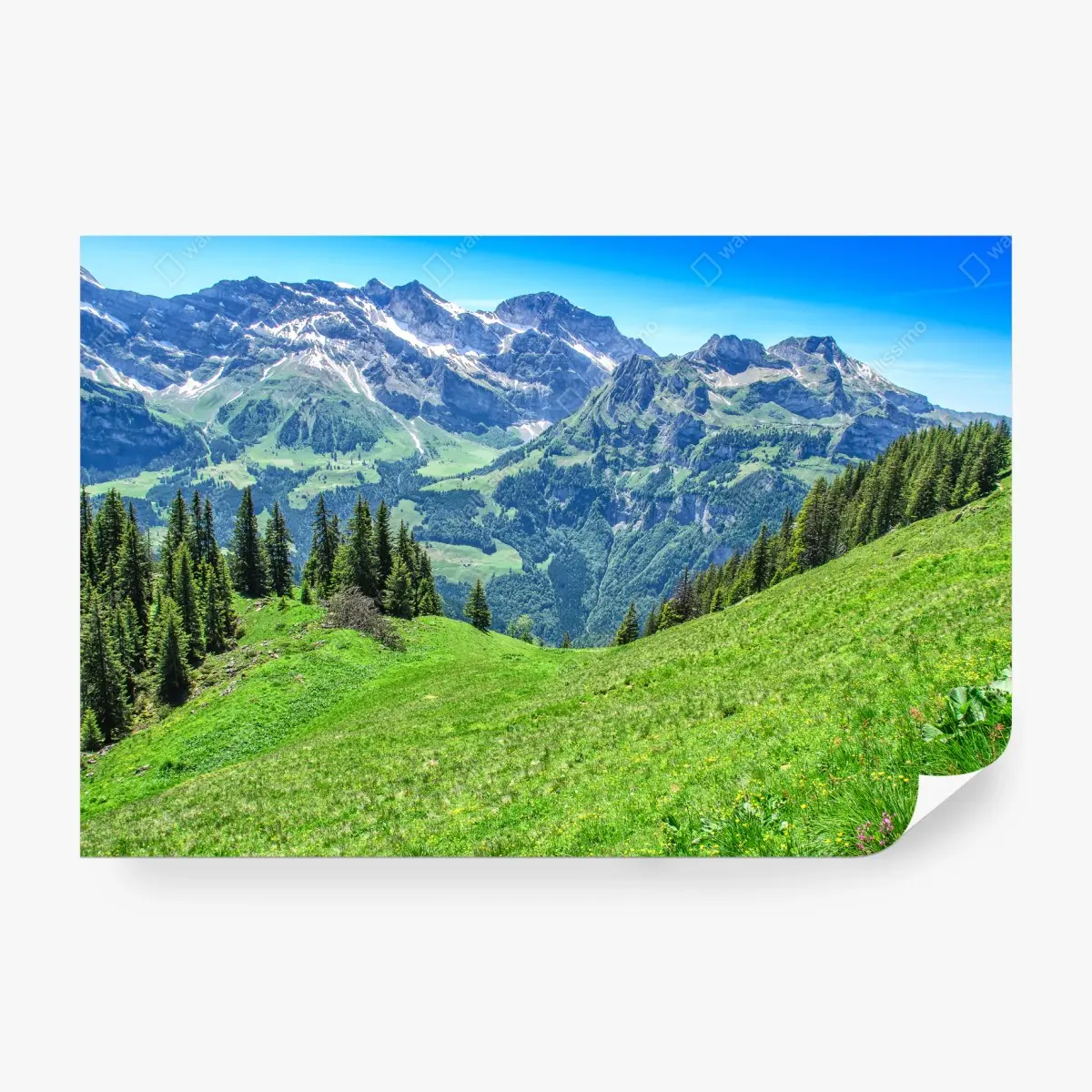 Wall mural alpine panorama over Engelberg, Switzerland • Wallissimo®