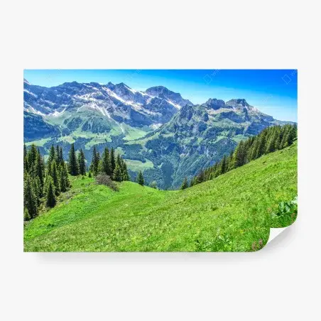 Wall mural alpine panorama over Engelberg, Switzerland • Wallissimo®