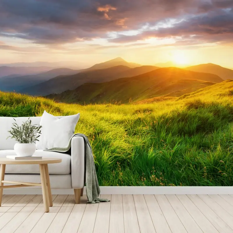 Wall mural sunlit mountain meadow at sunrise