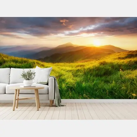Wall mural sunlit mountain meadow at sunrise • Wallissimo®