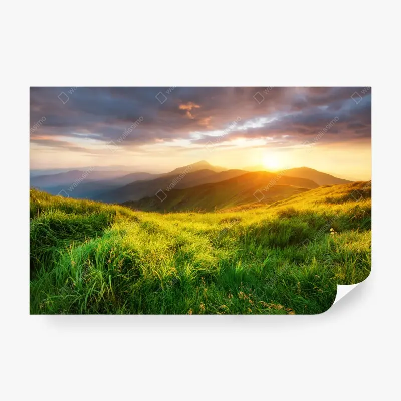 Wall mural • Wallissimo®