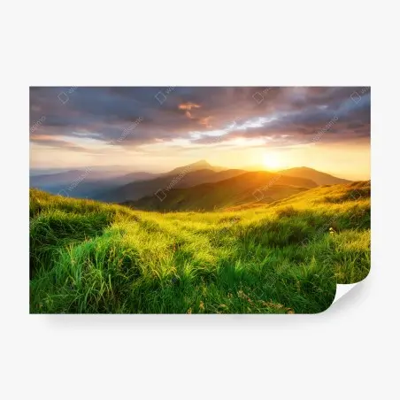 Wall mural sunlit mountain meadow at sunrise • Wallissimo®