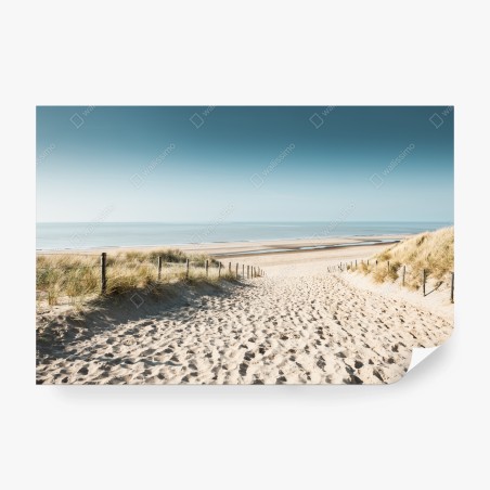 Wall mural sandy dunes at Noordwijk coast • Wallissimo®