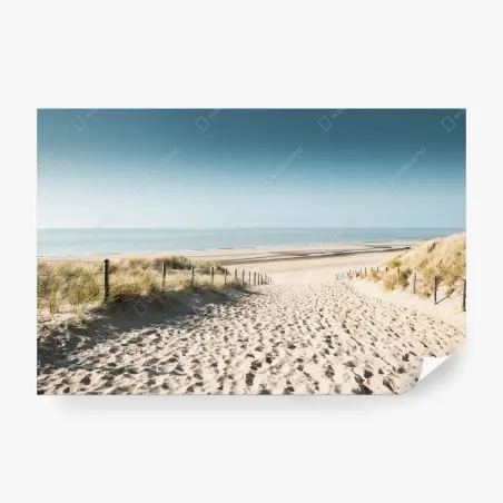 Wall mural sandy dunes at Noordwijk coast • Wallissimo®