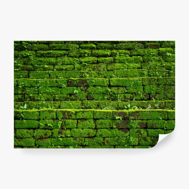 Wall mural lush moss-covered brick wall