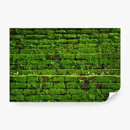 Wall mural lush moss-covered brick wall • Wallissimo®