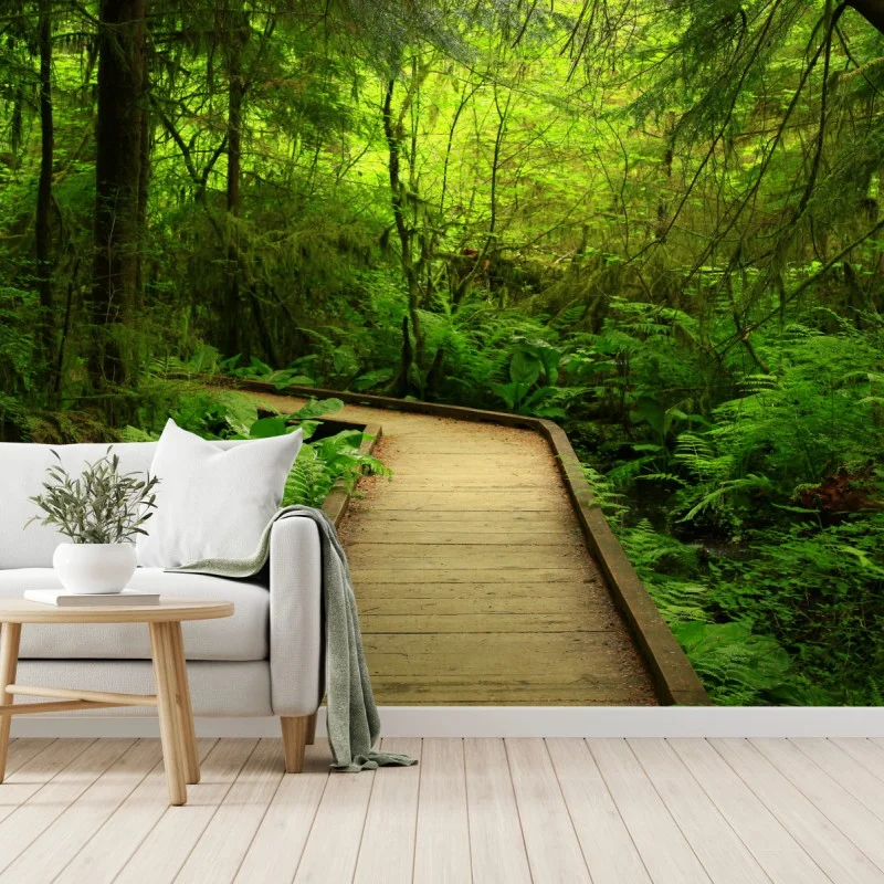 Wall mural serene green forest boardwalk
