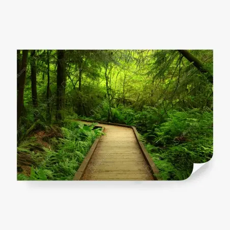 Wall mural serene green forest boardwalk • Wallissimo®