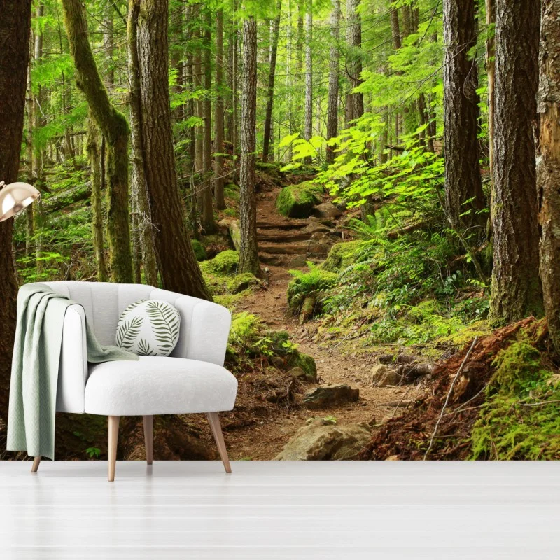 Wall mural mossy forest trail
