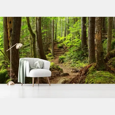 Wall mural mossy forest trail • Wallissimo®