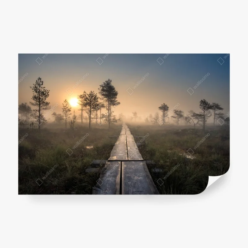 Wall mural misty sunrise over wooden boardwalk