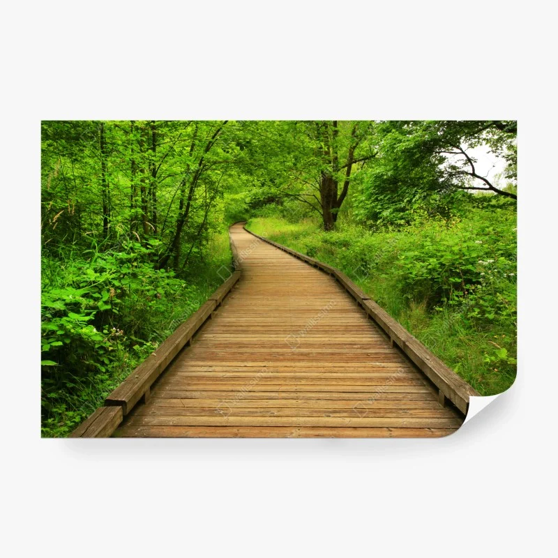 Wall mural serene forest boardwalk pathway