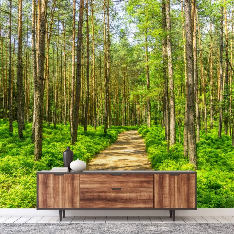 Wall mural sunlit forest path through green pines