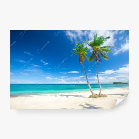 Wall mural tropical palms on a turquoise beach • Wallissimo®
