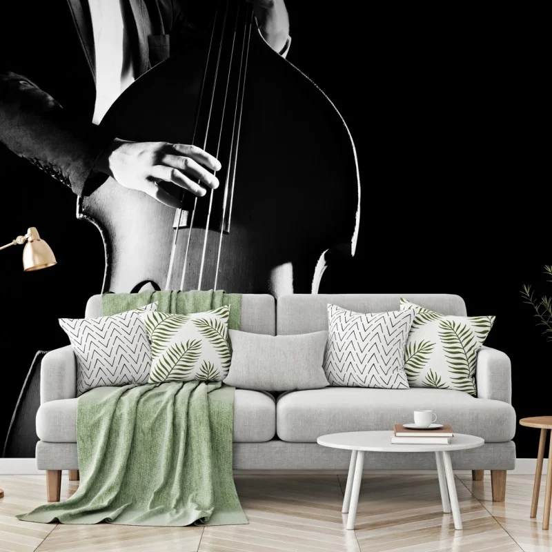 Wall mural double bass player in dramatic monochrome