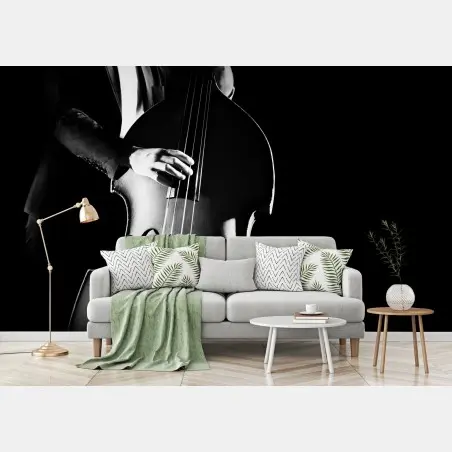 Wall mural double bass player in dramatic monochrome • Wallissimo®