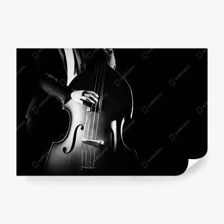 Wall mural double bass player in dramatic monochrome • Wallissimo®
