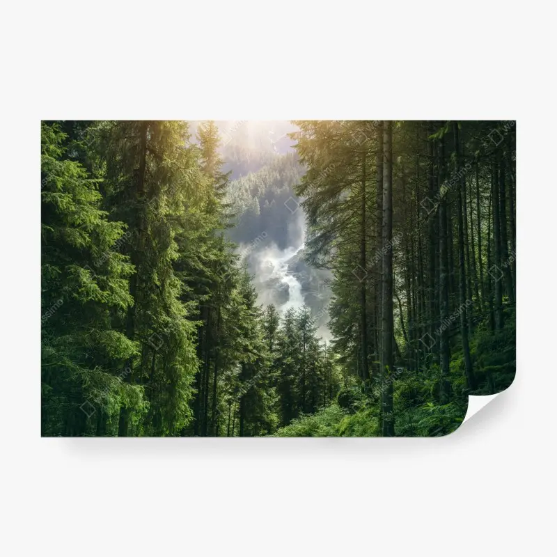 Wall mural Krimml waterfalls, lush alpine forest