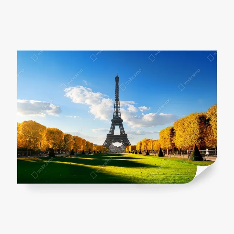 Wall mural spring at Champs de Mars, Eiffel Tower, Paris