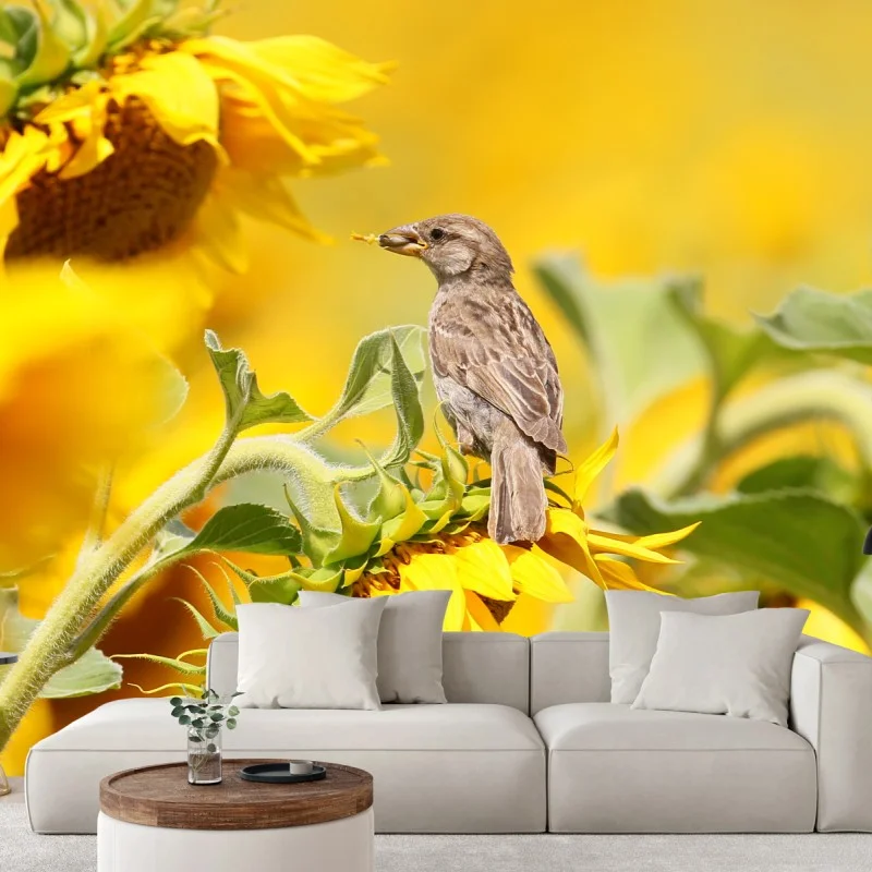 Wall mural sparrow on a sunflower
