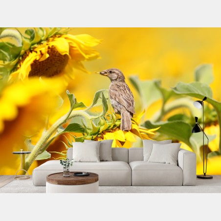Wall mural sparrow on a sunflower • Wallissimo®