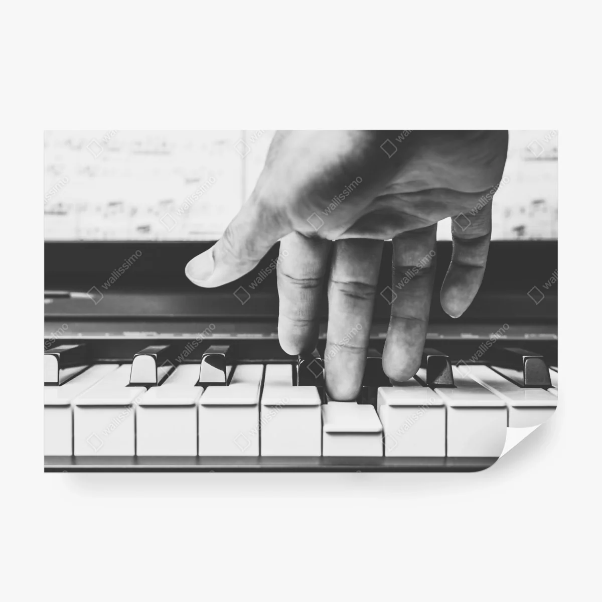 Wall mural hand on piano keys in grayscale ⁕ Wallissimo® Wall mural hand on piano keys in grayscale ⁕ Wallissimo®