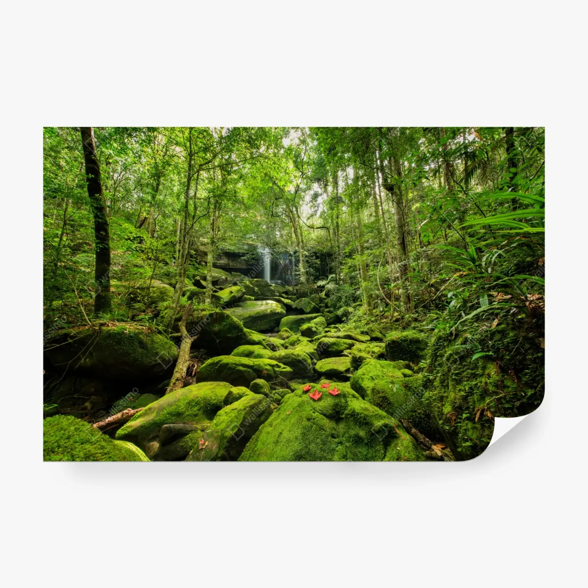 Wall mural lush mossy waterfall in tropical forest ⁕ Wallissimo® Wall mural lush mossy waterfall in tropical forest ⁕ Wallissimo®