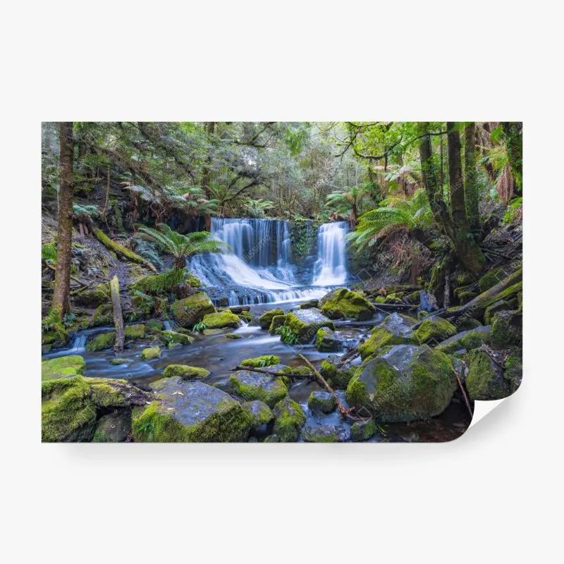 Wall mural serene forest waterfall retreat