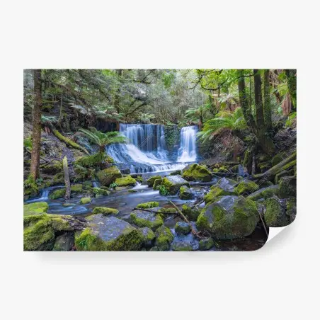 Wall mural serene forest waterfall retreat • Wallissimo®