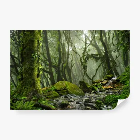 Wall mural mossy forest stream in morning mist • Wallissimo®