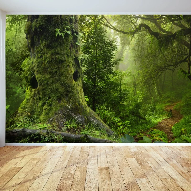 Wall mural mossy ancient forest path