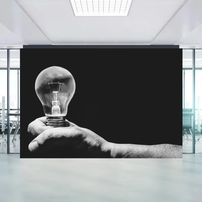 Wall mural monochrome hand holding light bulb