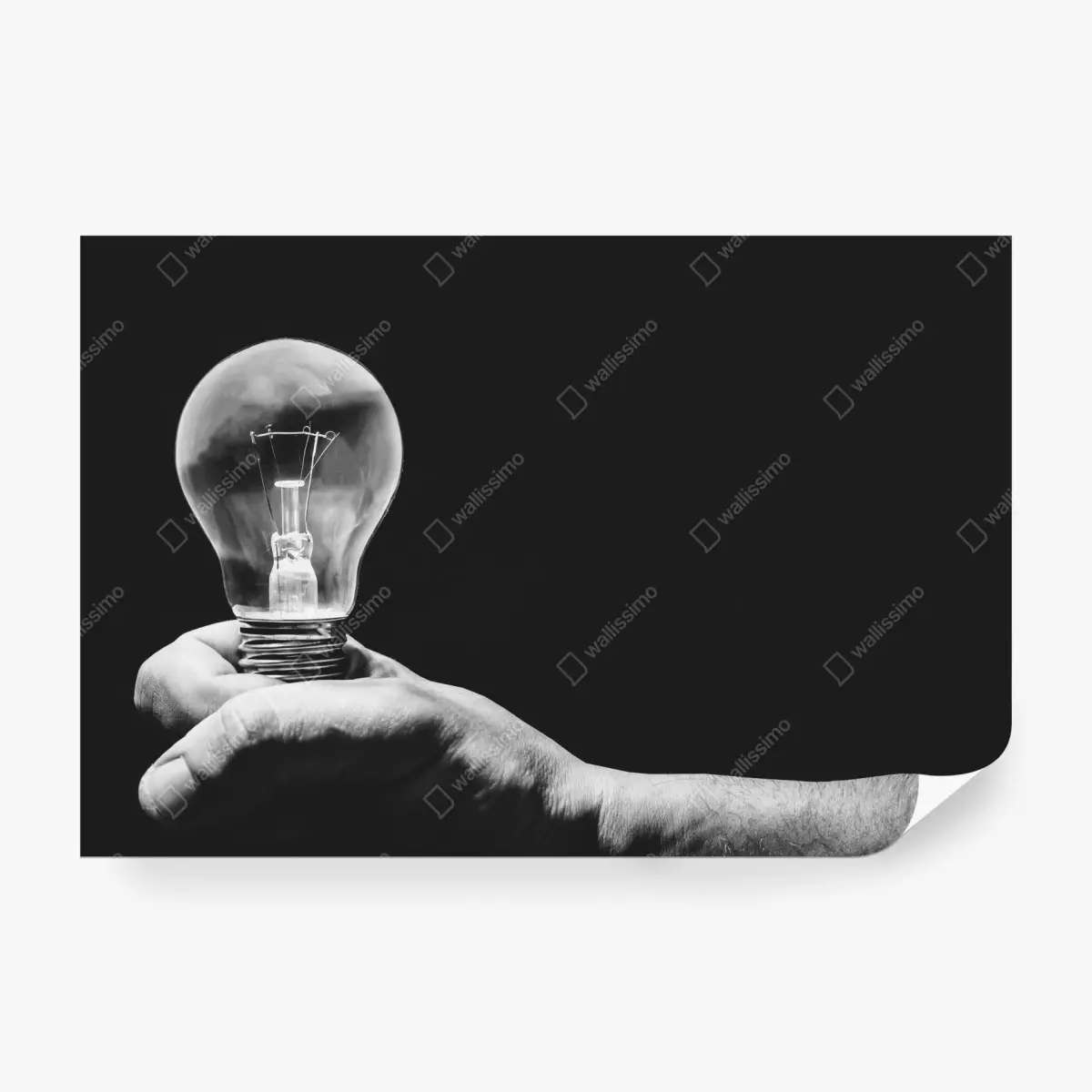 Wall mural monochrome hand holding light bulb • Wallissimo®