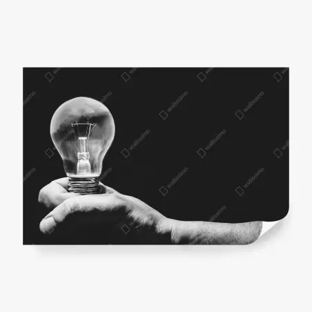 Wall mural monochrome hand holding light bulb • Wallissimo®