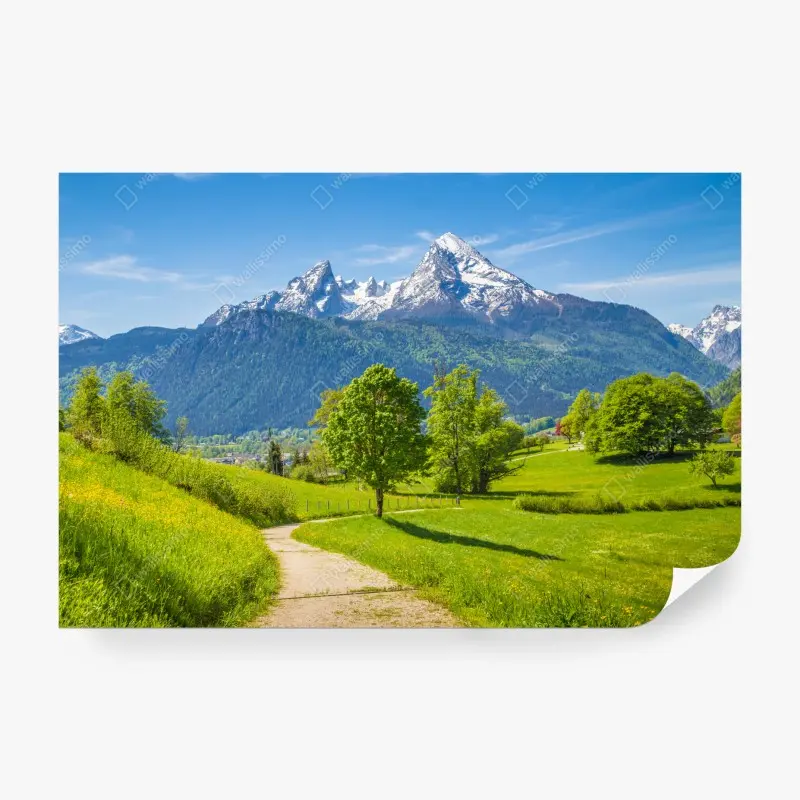 Wall mural serene alpine meadow with mountain peaks